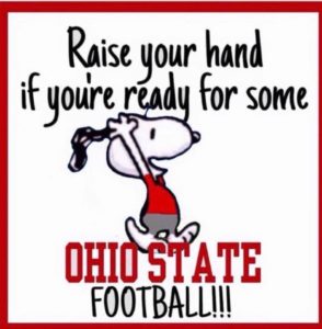 A picture of snoopy over the Ohio Football sign