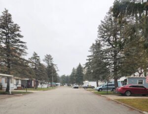 A mobile home park with many pine trees