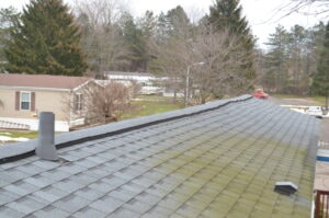 A green moss on the roof of a home considered mold roof
