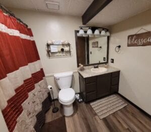A new bathroom that looks great in a brown color