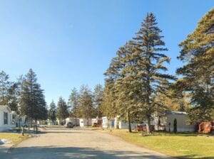 A mobile home park that is for sale and has trees