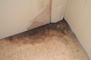 Pets stains in your subfloor like this cause damage