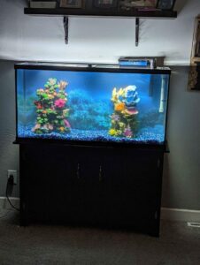A large fish tank sitting on a cabinet