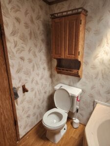 A toilet in a home with a brown cabinet above it