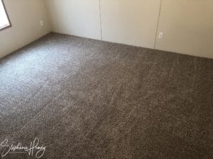 New brown carpet in a bedroom
