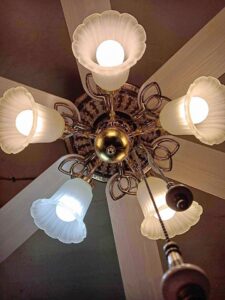 A ceiling fan with bright tulip lights
