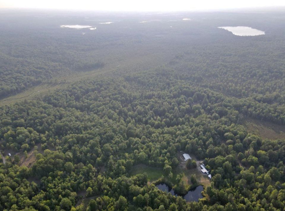 An aerial view of a large lot of land with many trees